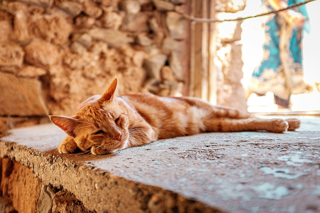 15 Steps to Build a Relaxation Ritual with Delta 8, Delta 9, and Delta 10 Gummies