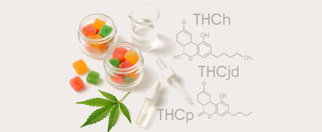 THCh vs THCjd vs THCp: 9 Key Differences Every Hemp Enthusiast Should Know